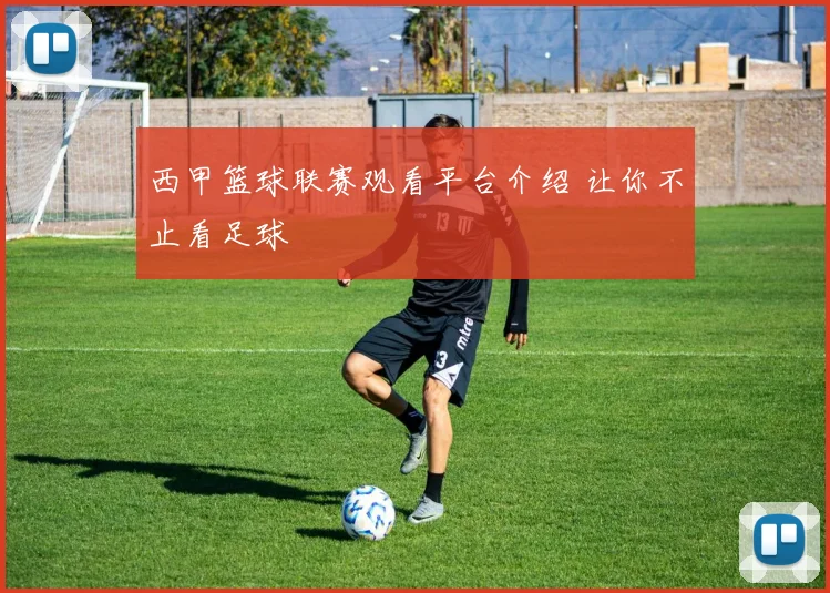 西甲篮球联赛观看平台介绍 让你不止看足球