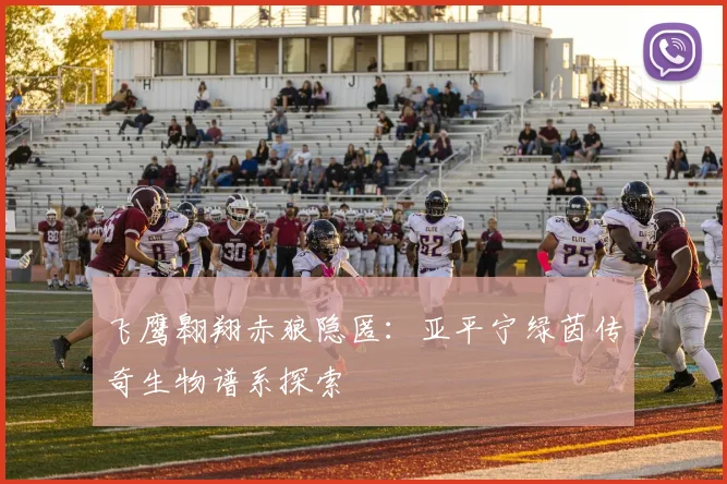 飞鹰翱翔赤狼隐匿：亚平宁绿茵传奇生物谱系探索