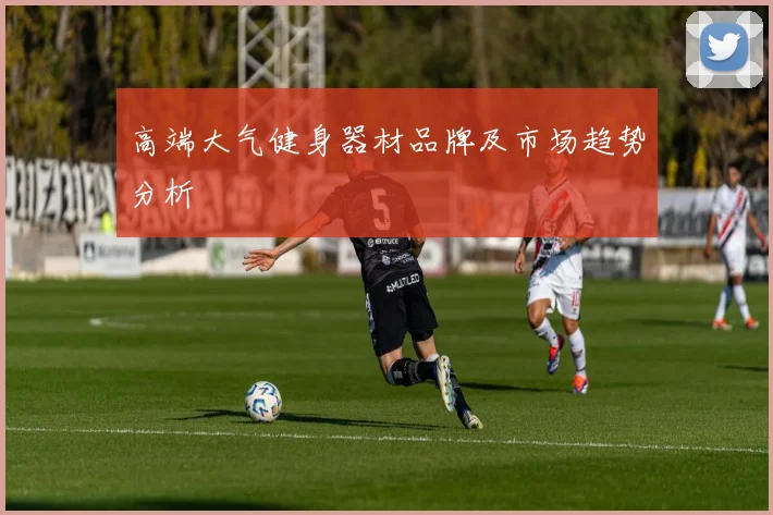 高端大气健身器材品牌及市场趋势分析