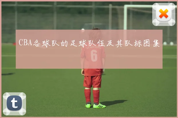 CBA各球队的足球队伍及其队标图集