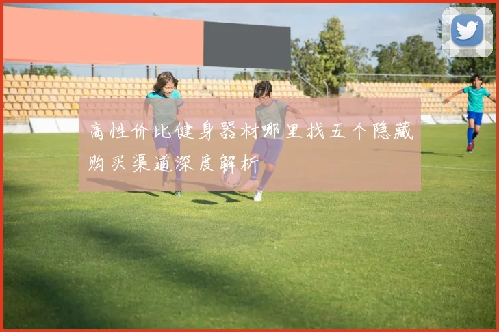 高性价比健身器材哪里找五个隐藏购买渠道深度解析