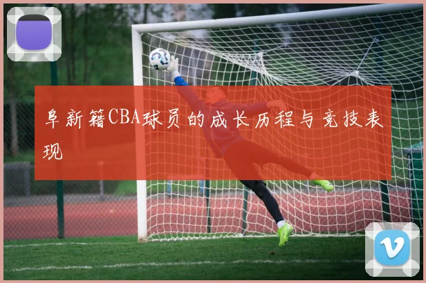 阜新籍CBA球员的成长历程与竞技表现