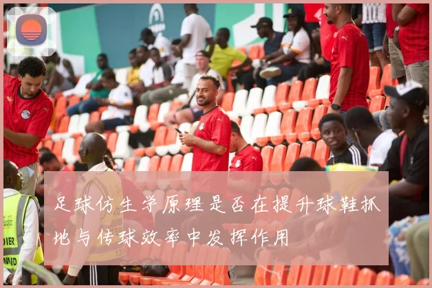 足球仿生学原理是否在提升球鞋抓地与传球效率中发挥作用